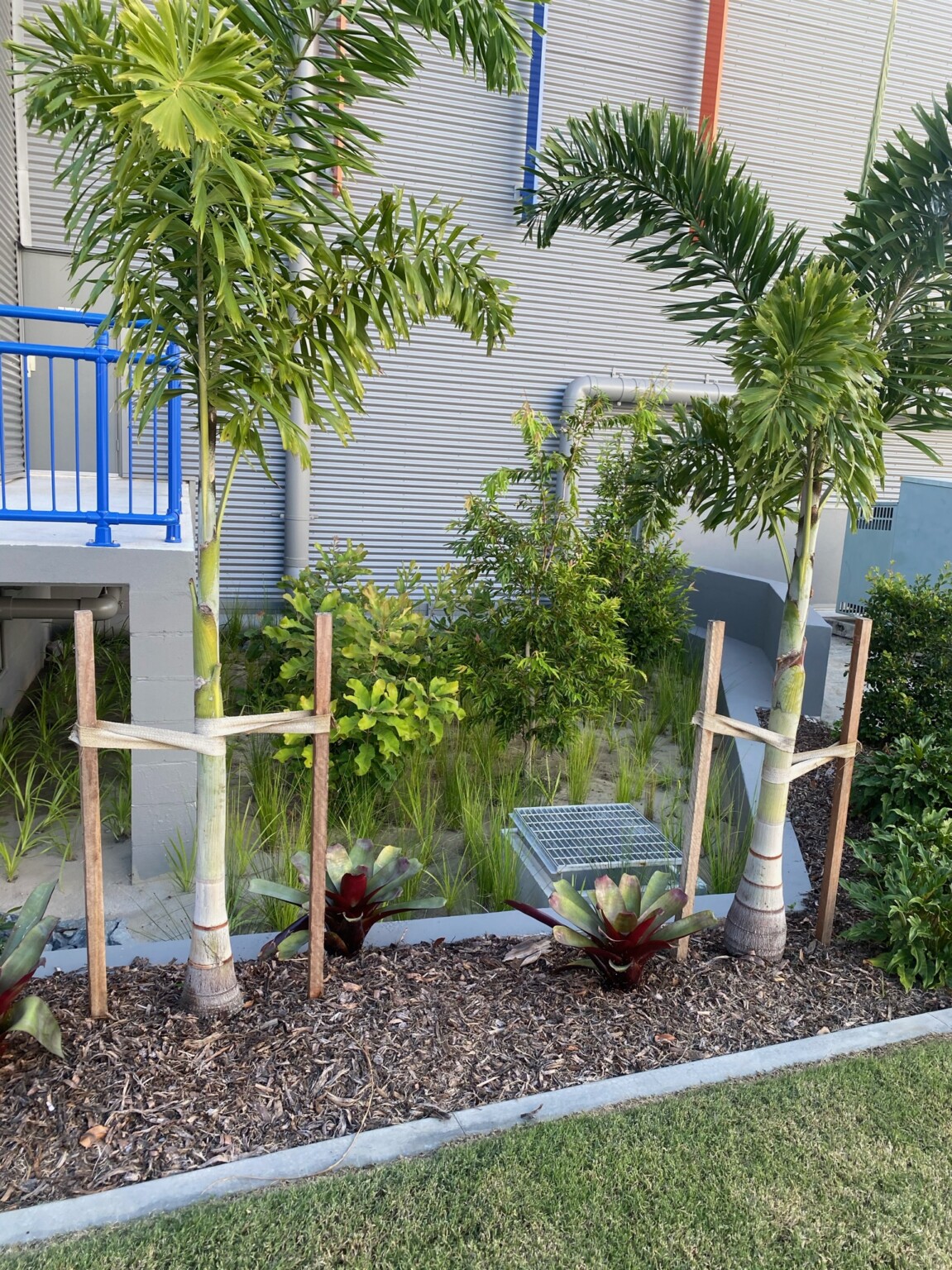 Kennard’s Self Storage Endemic Landscapes